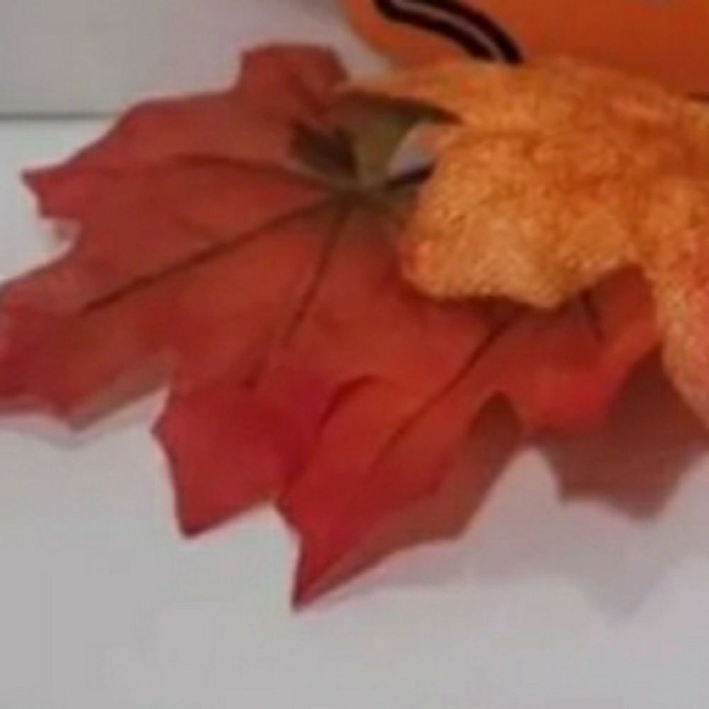 Meet your Posher, Flo